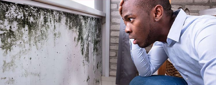 man looking in disbelief at black mold