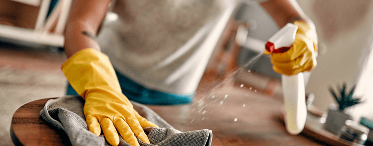 woman dusting her home